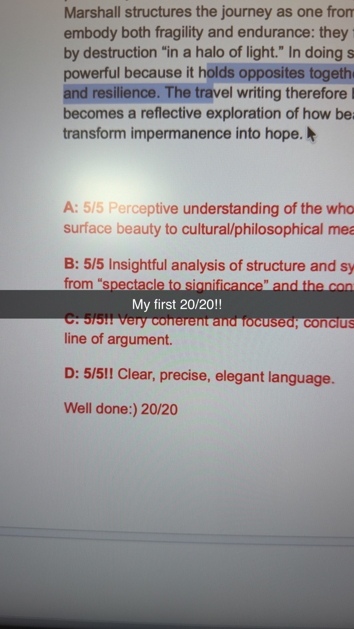 20/20 essay screenshot